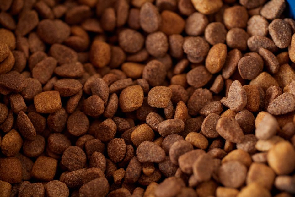 Granule pre dospelé psy — kura a ryža, 12 kg